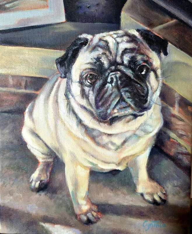 Pug